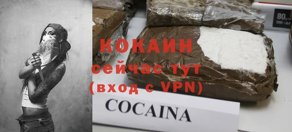 твердый Богородицк