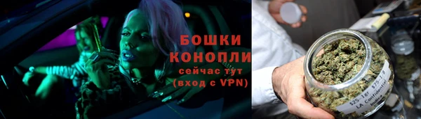 твердый Богородицк