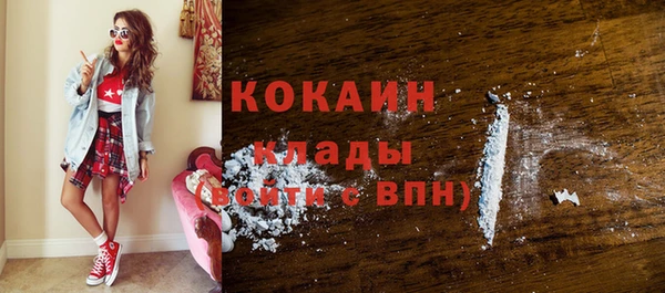 твердый Богородицк