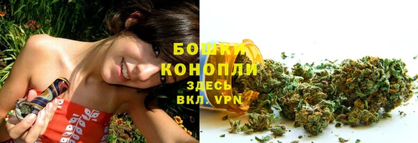 твердый Богородицк
