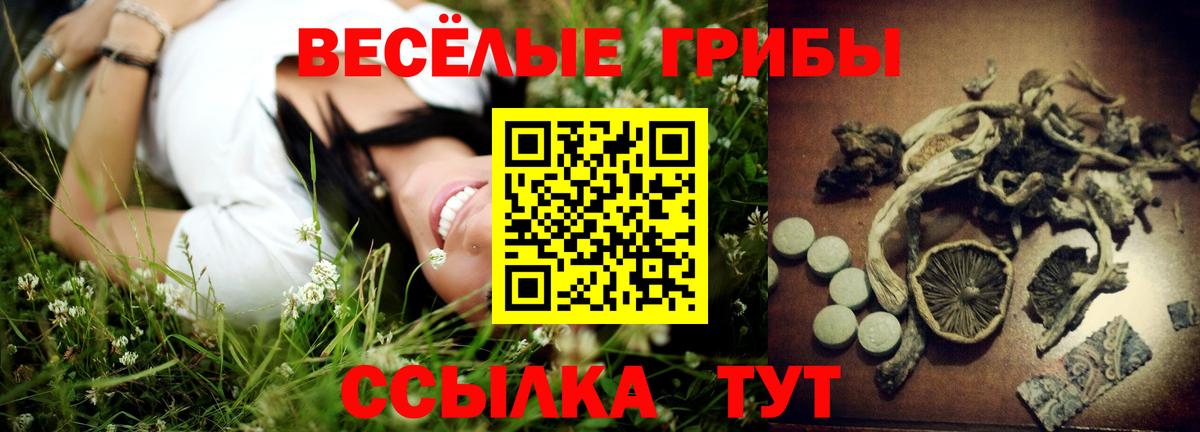 Галлюциногенные грибы Psilocybine cubensis Воскресенск